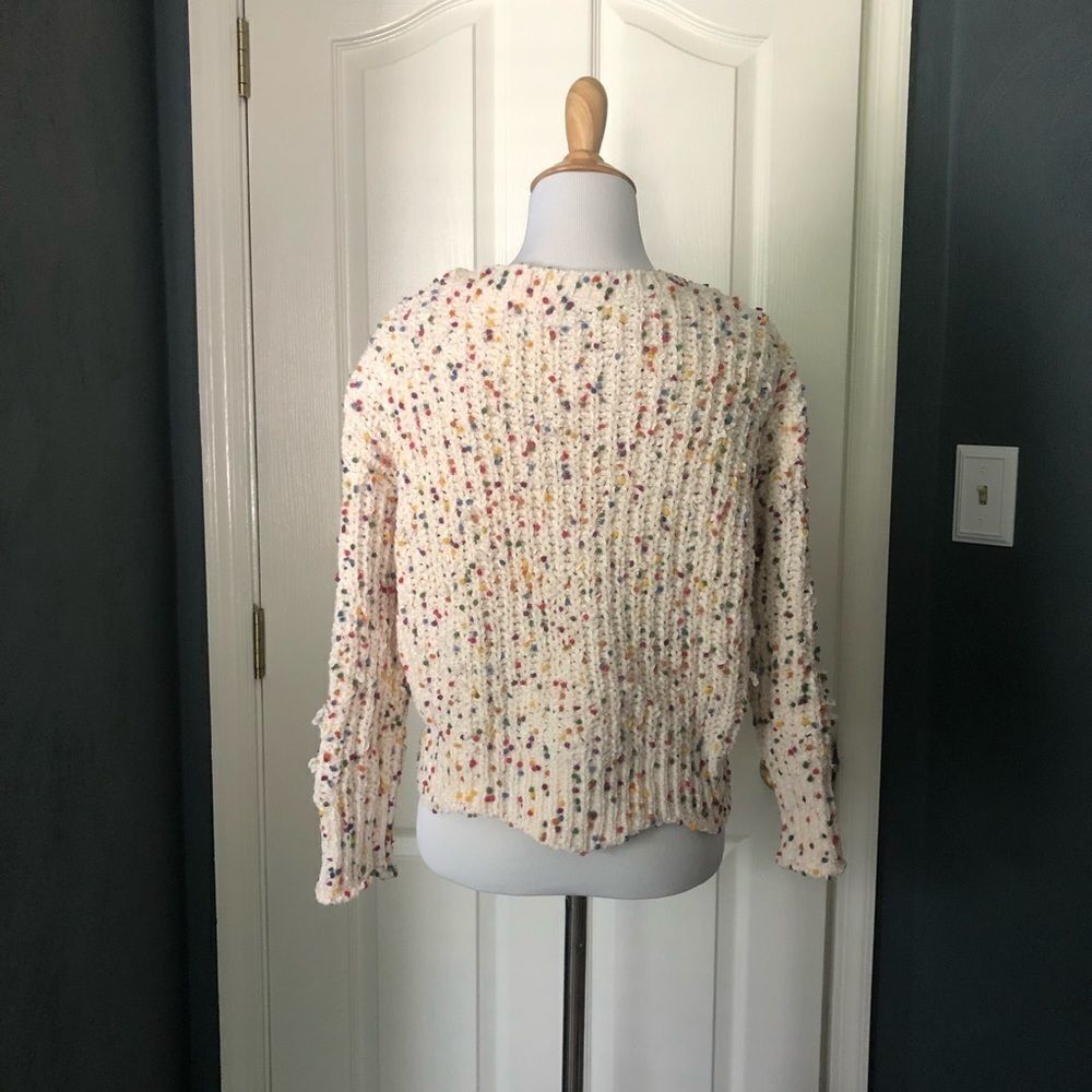 Alpha & Omega Chenille Sprinkle Crop Sweater - Picture 2 of 6